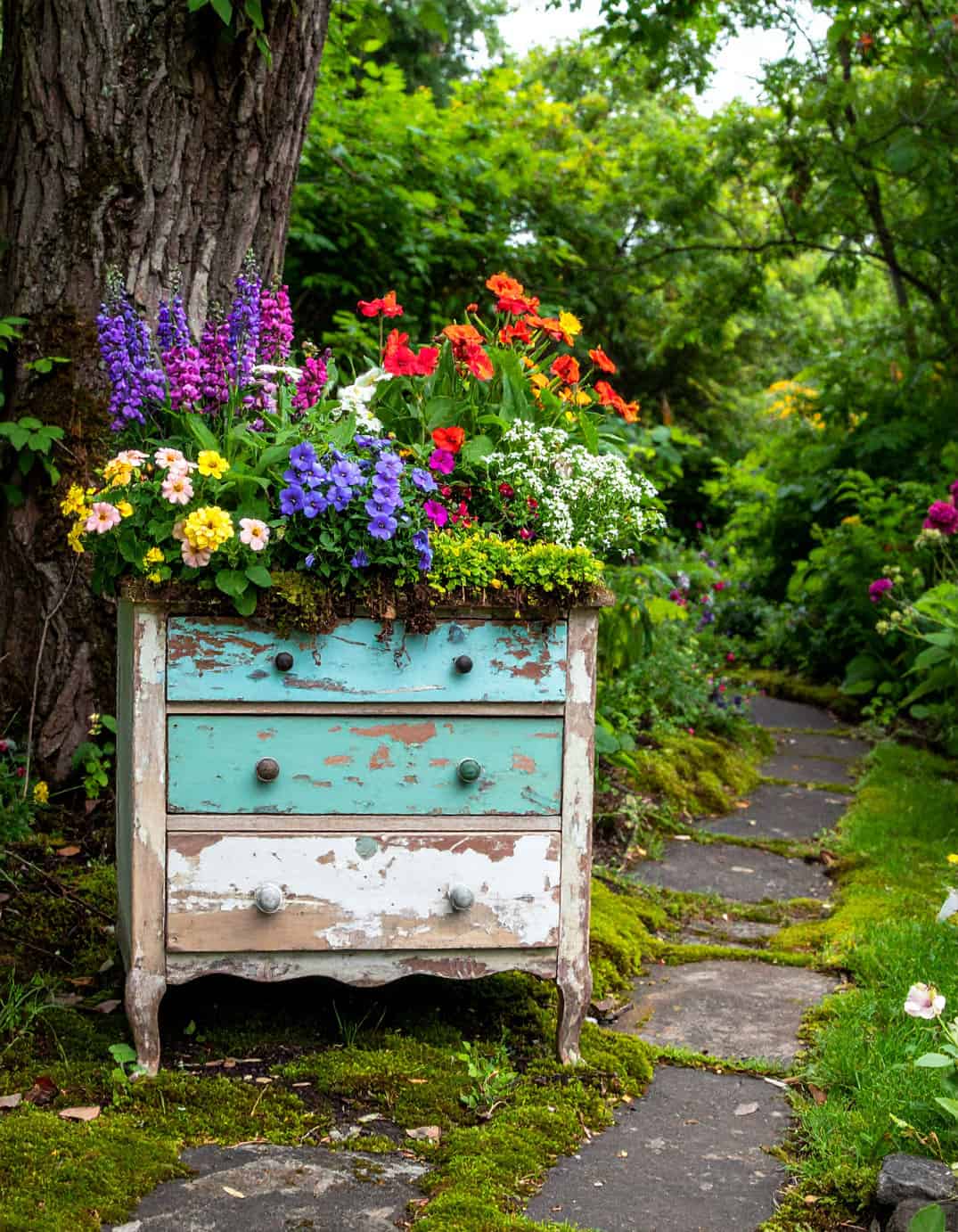 Shabby Chic vintage dresser plante