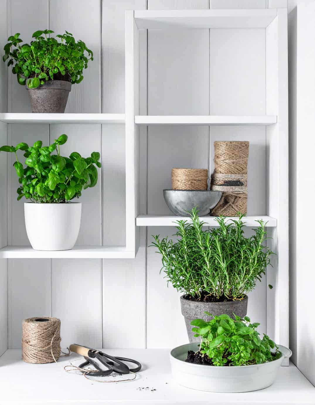 Whitewash potting station