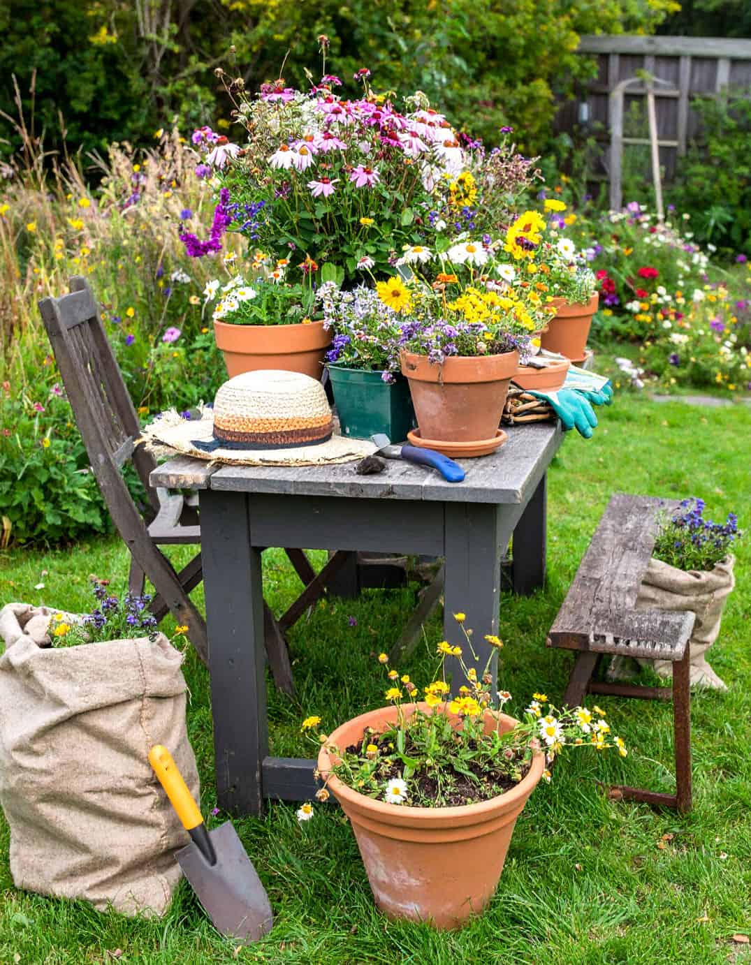 Wildflower table potting station 2