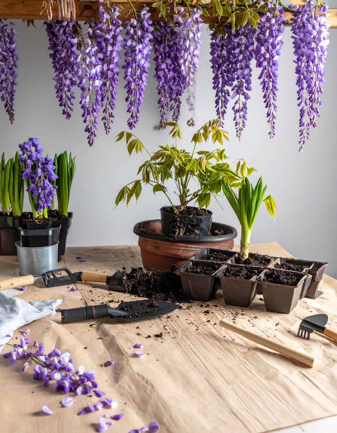 covered table seedling station
