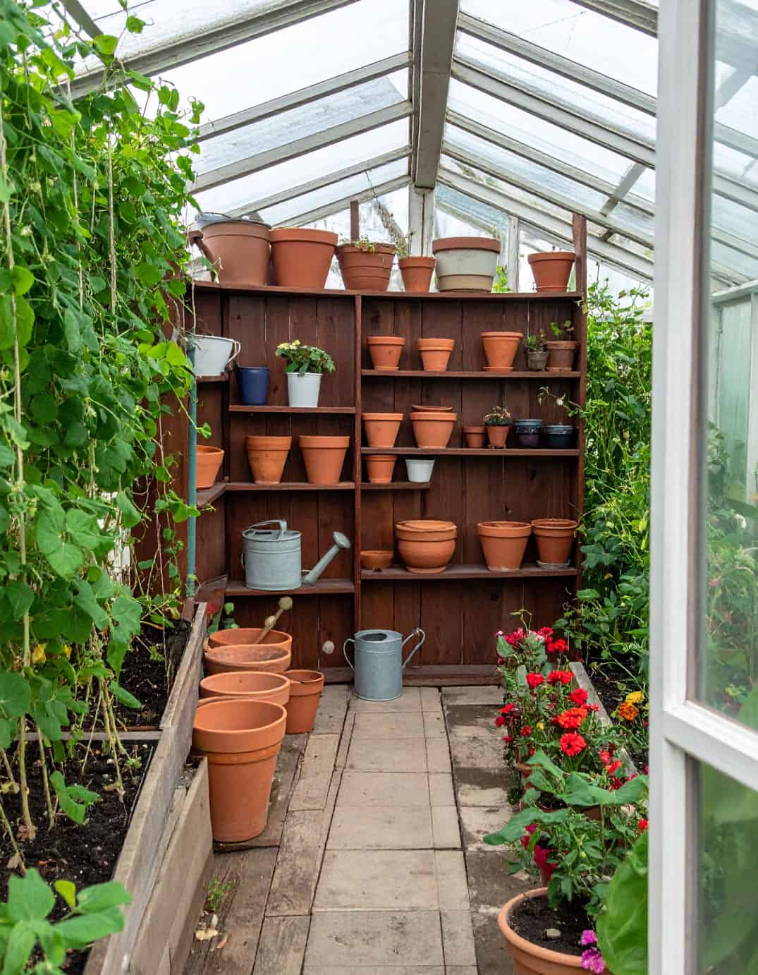greenhouse seedling station