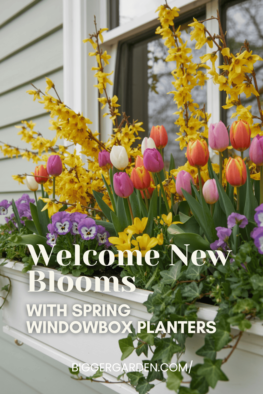 Spring window box 1
