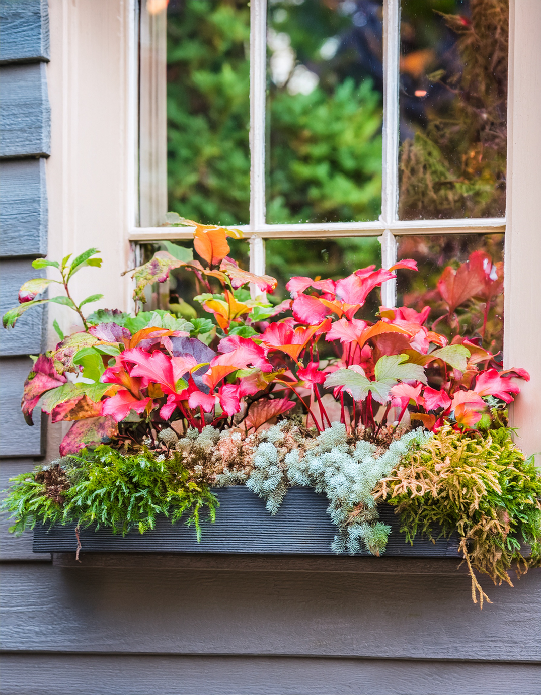 Fall Window box Planter with moss and red folliage
