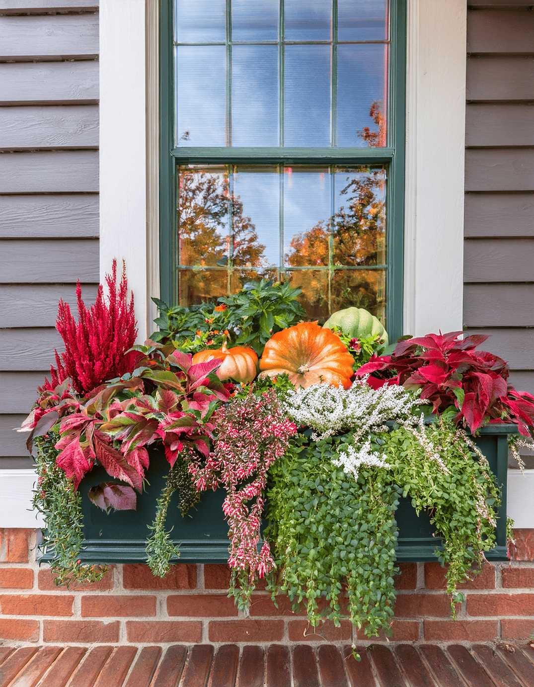 Fall Window box Planter with pumpkins and folliage