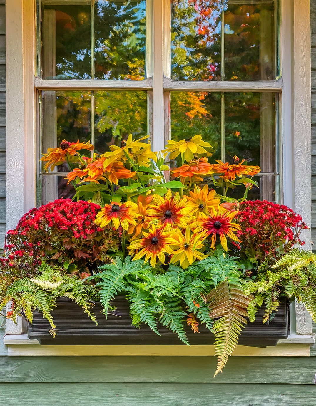 12 Fall Window Box Ideas for a Colorful Autumn Display 12 Fall Window Box Ideas for a Colorful Autumn Display