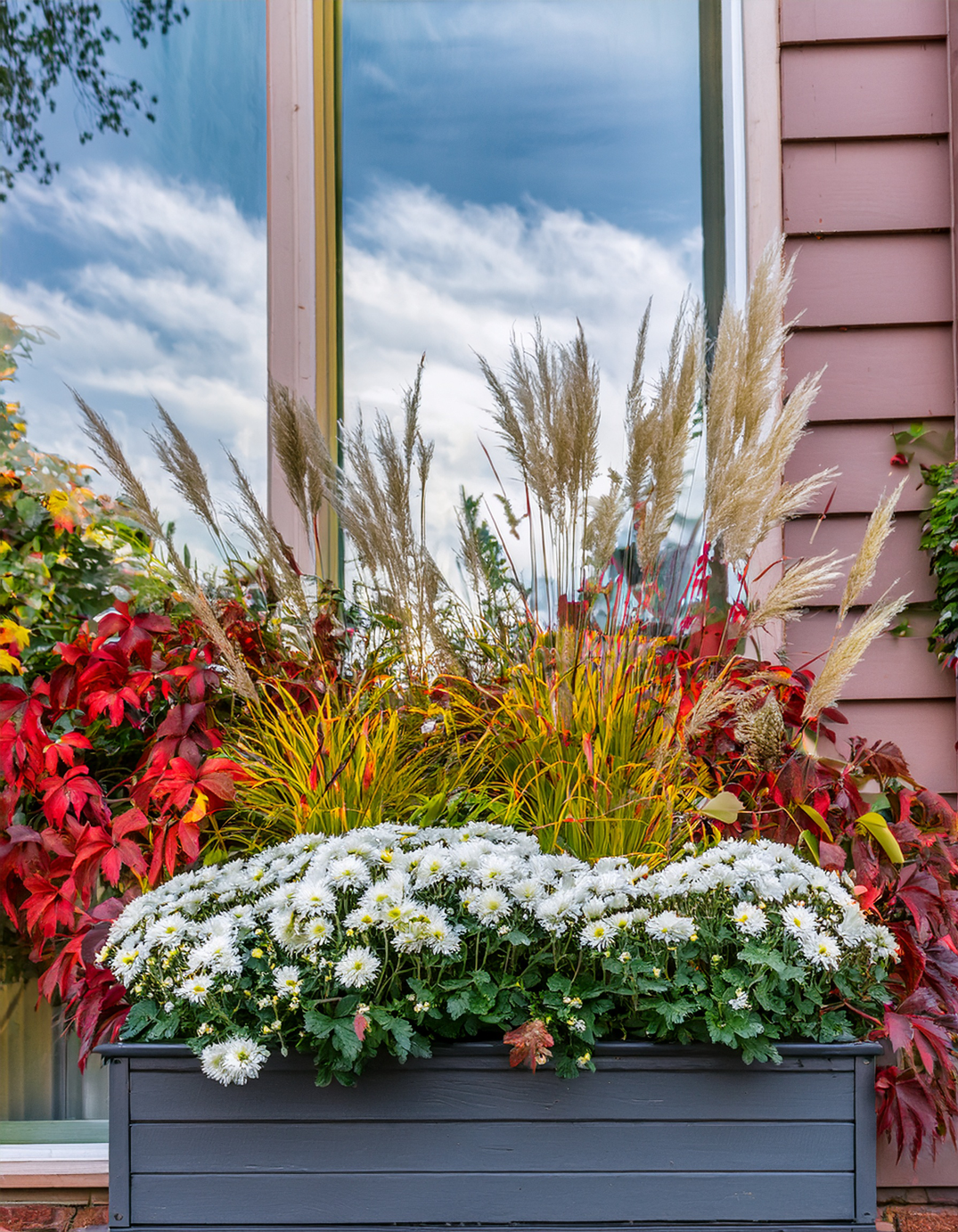 Fall Window box Planter with white mums and wheat
