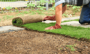How to Prepare Your Soil Before Laying New Sod