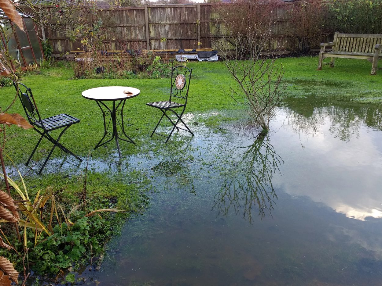 Floded back yard garden