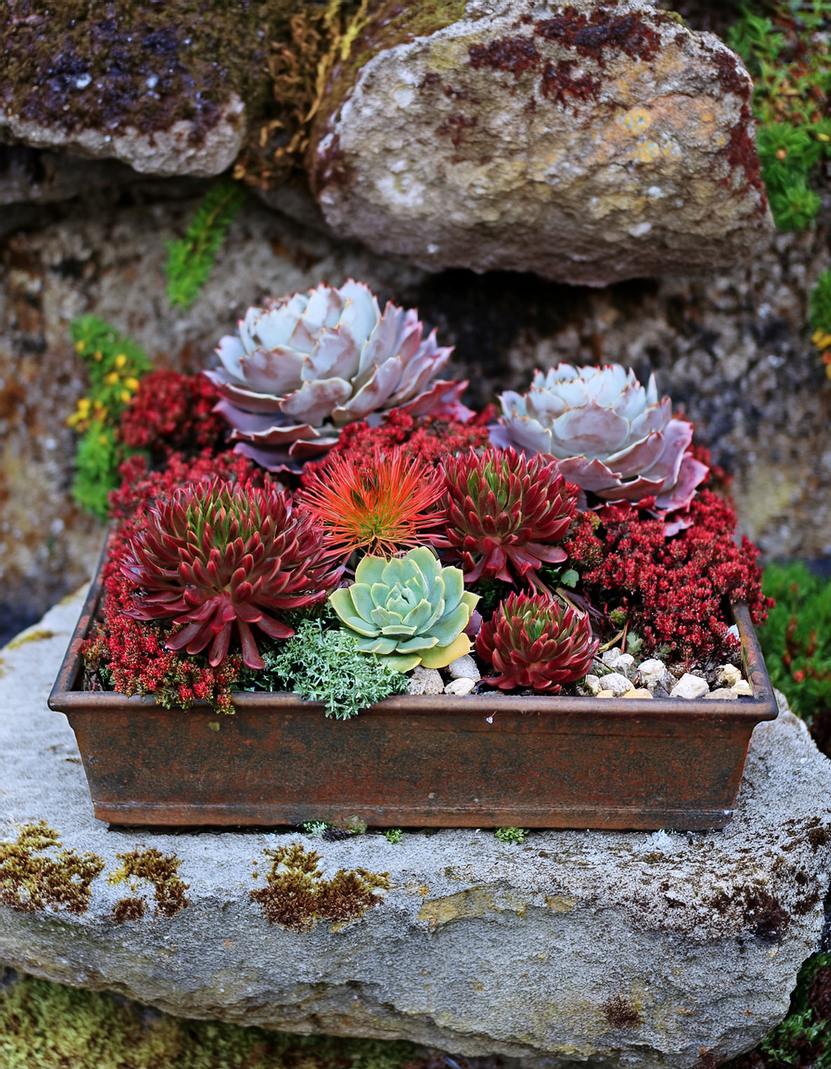 fall planter 7